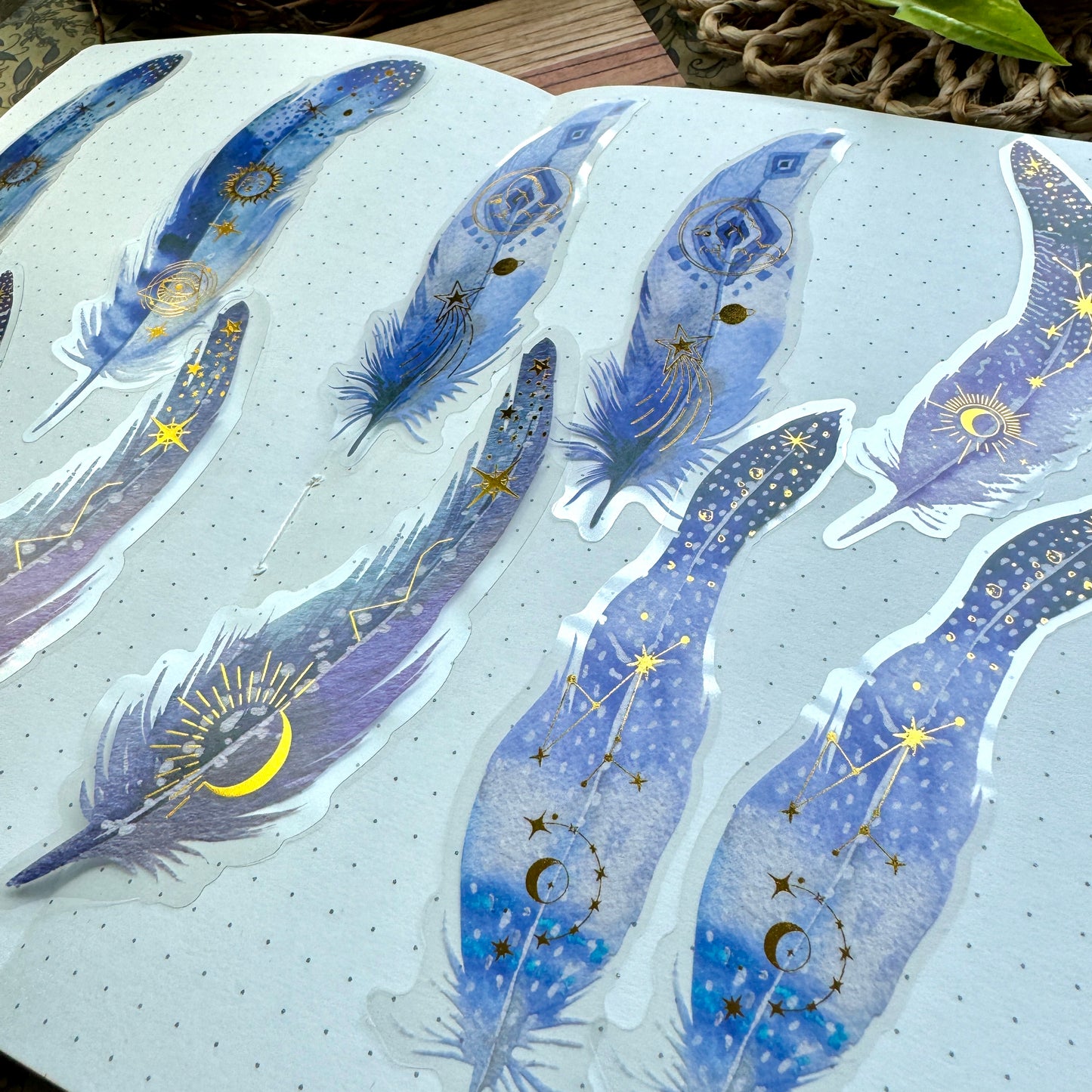 Tz2207zzr -f Transparent Pet sticker foil Feather collection Big | 10 pc