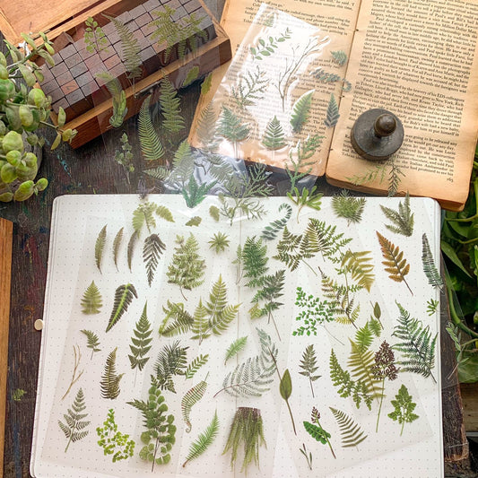 Zrcs 803 PET Journal Sticker | Transparent Sticker - 6 sheet