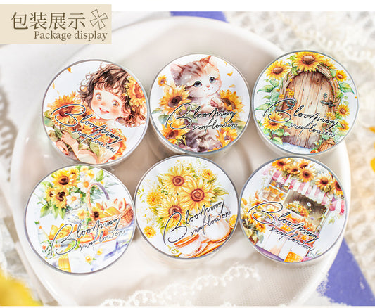 MHD-SFXR006-Floral Theme Transparent PET Sticker Roll | 50 mm | 2mtr