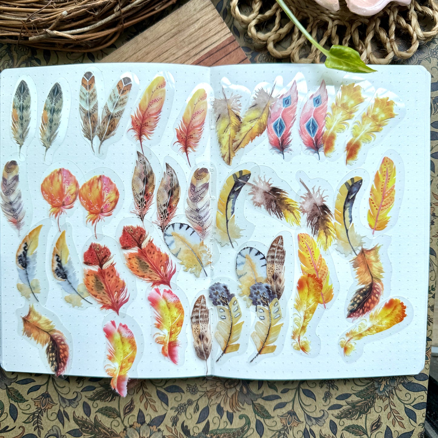 Tz2208bbt -g Transparent Pet sticker Feather collection | 40 pc