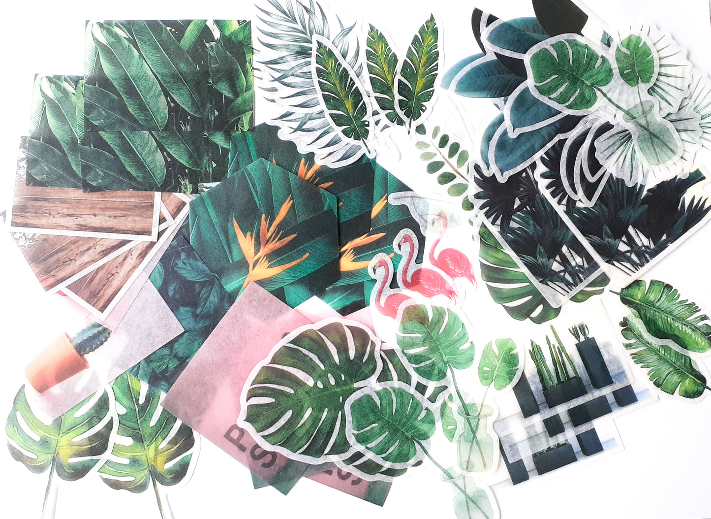 MMK06B050 NATURAL COLLECTION DECO STICKER 60 PC
