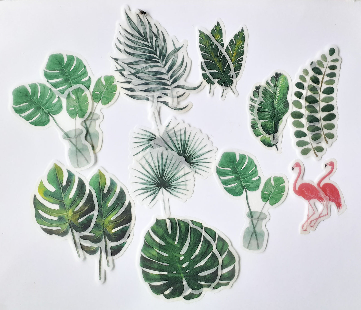 MMK06B050 NATURAL COLLECTION DECO STICKER 60 PC