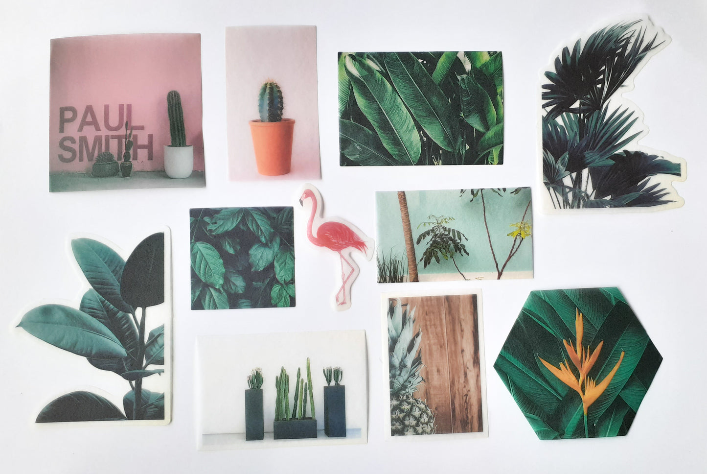 MMK06B050 NATURAL COLLECTION DECO STICKER 60 PC