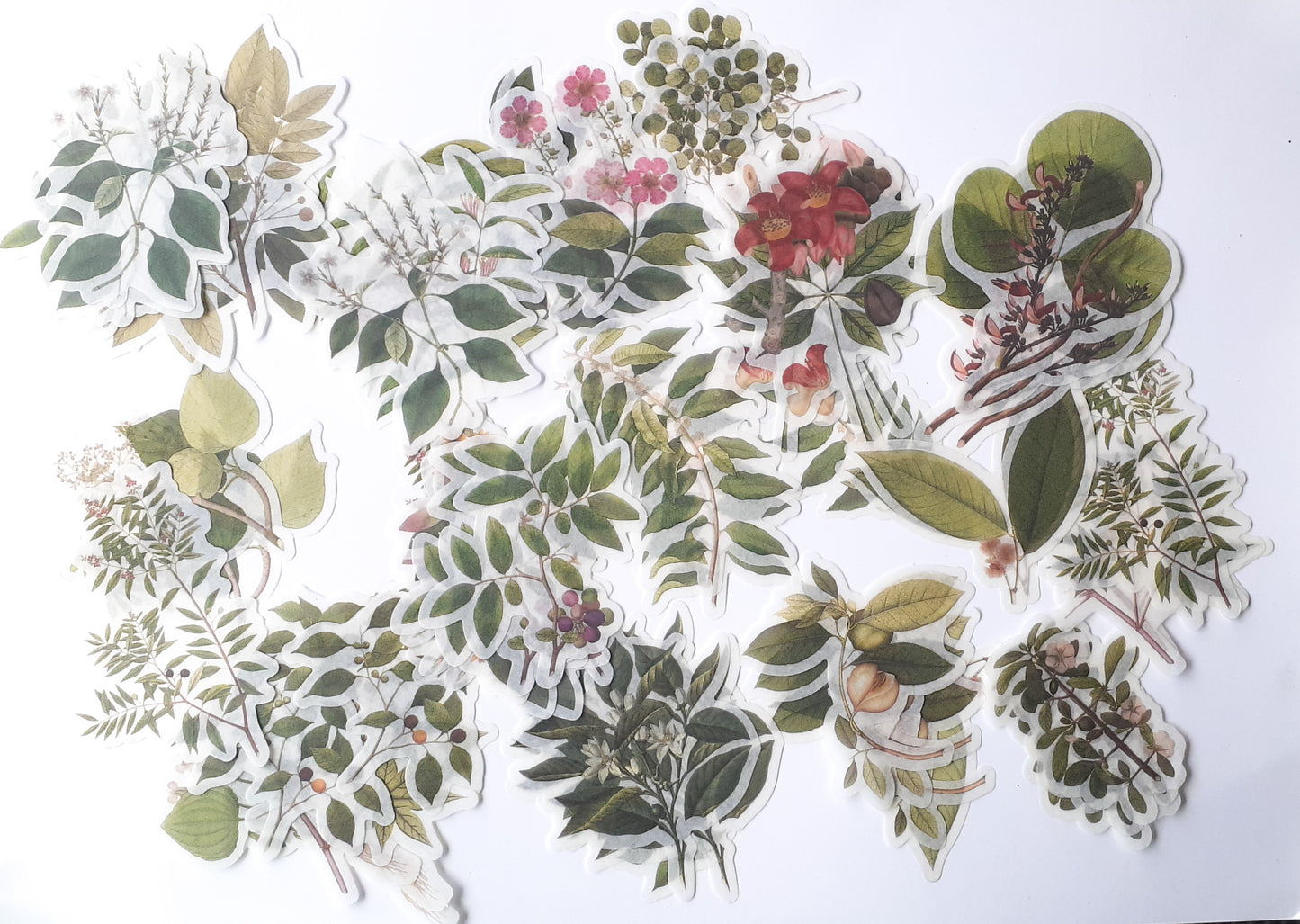 MMK06B054 NATURAL COLLECTION DECO STICKER 60 PC
