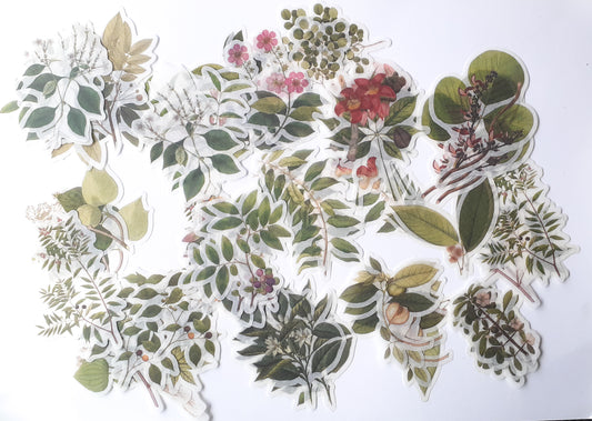 MMK06B054 NATURAL COLLECTION DECO STICKER 60 PC