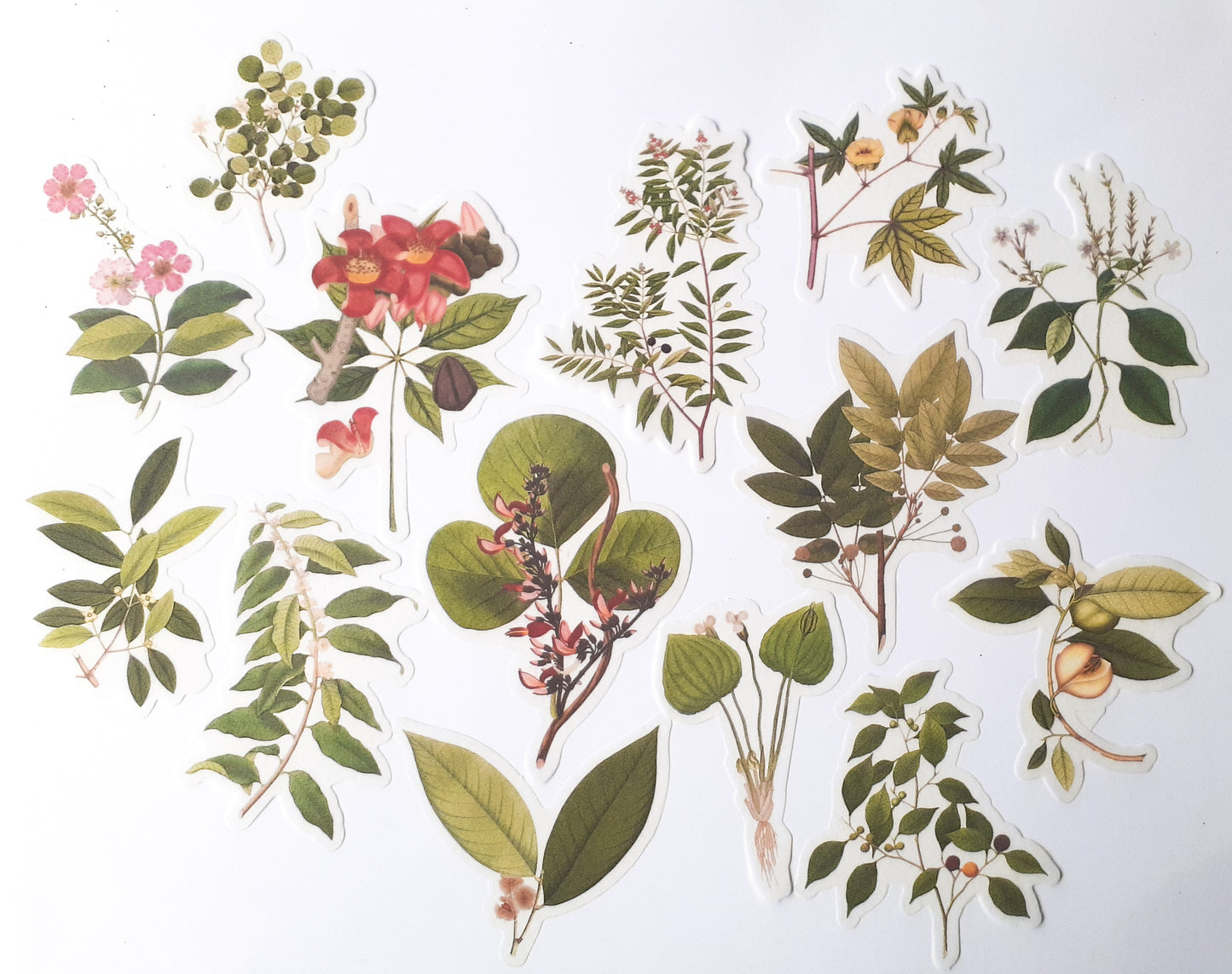 MMK06B054 NATURAL COLLECTION DECO STICKER 60 PC