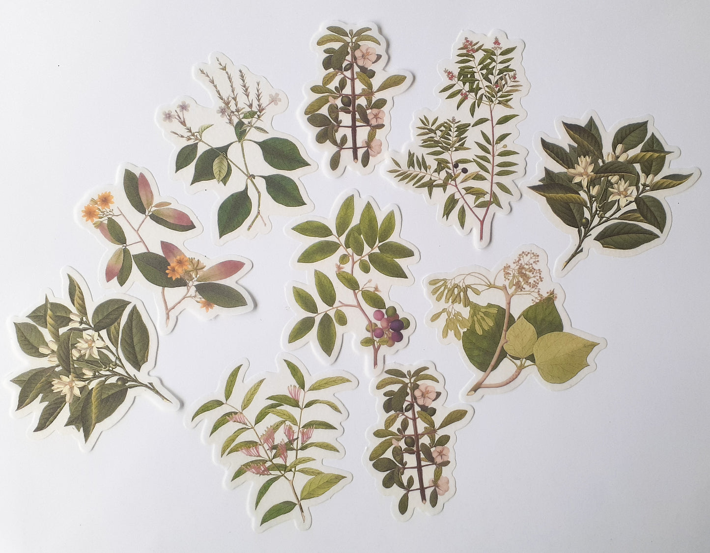 MMK06B054 NATURAL COLLECTION DECO STICKER 60 PC