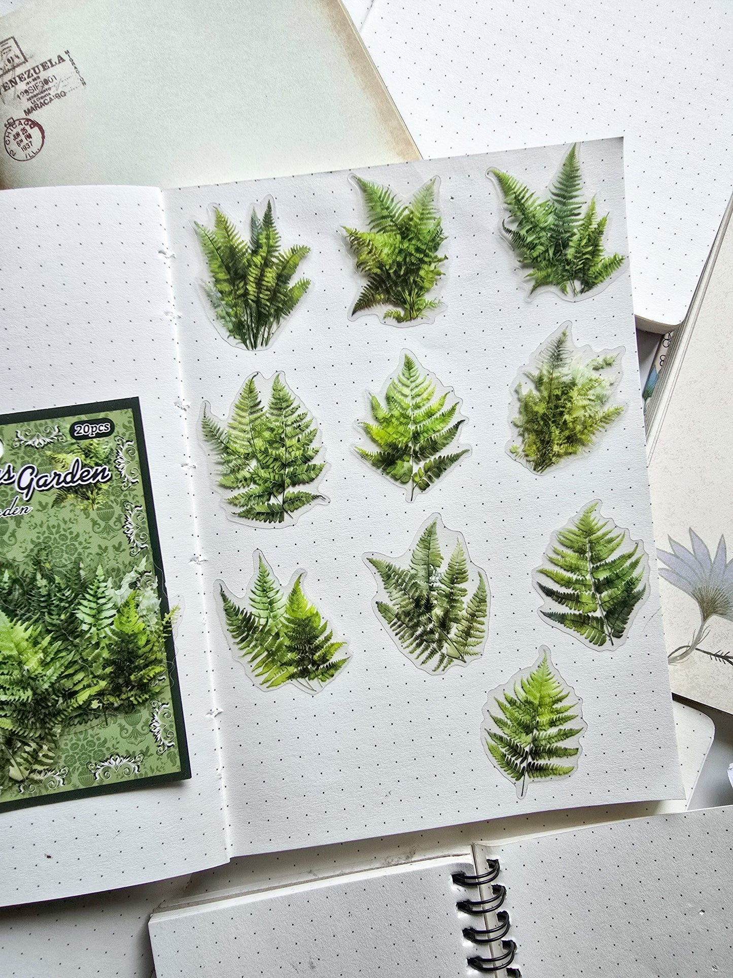 YZTY-605 Coniferous Garden |Transparent Plant Nature Sticker| Leaf Vine Garden Series| Transparent Pet Sticker| 35*50mm | 20Pcs