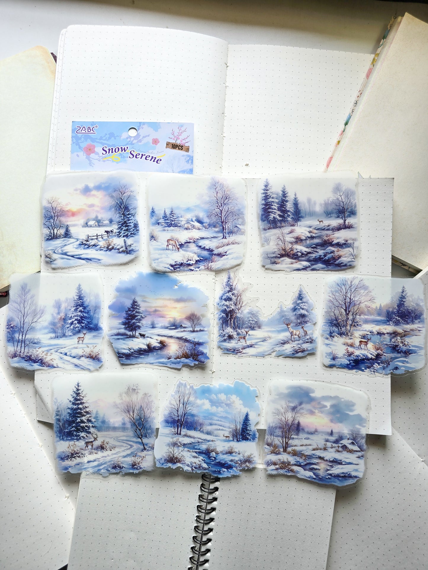 SJWY-404 Snow Serene| Transparent Pet Sticker| Scenery Theme Season Series |81-90mm 10Pcs|Blue Theme