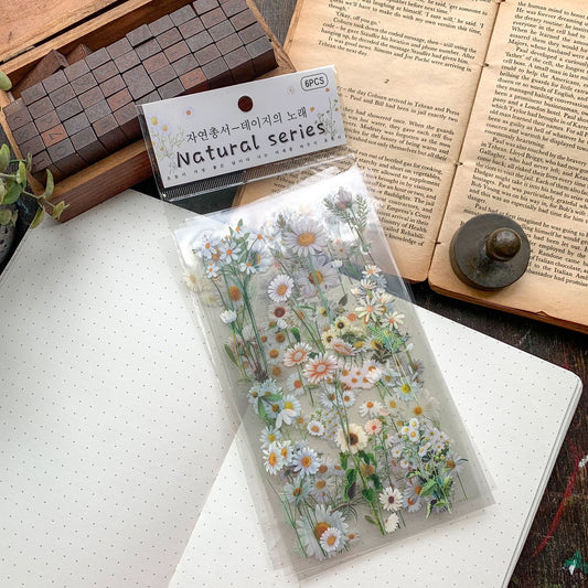 Zrcs 801 - PET Journal Sticker | Transparent Sticker - 6 sheet