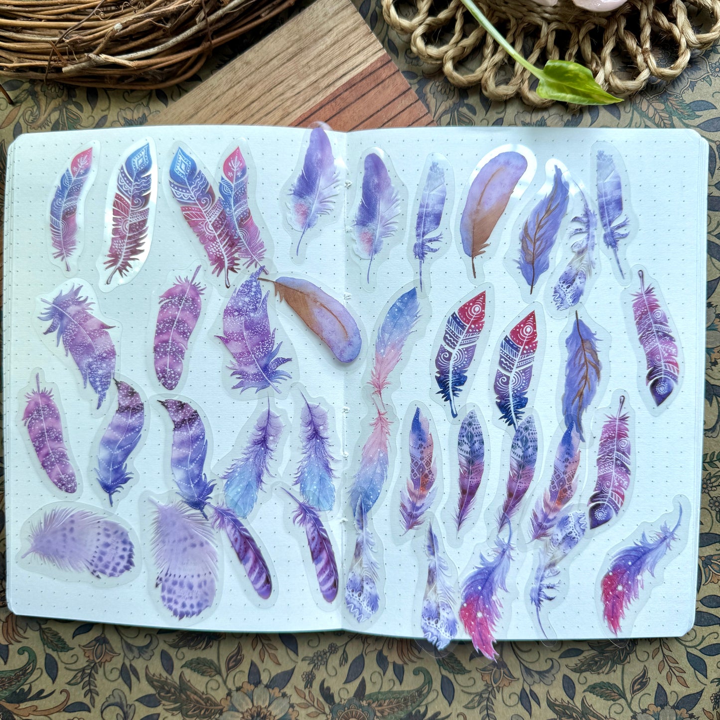 Tz2208bbt -e Transparent Pet sticker Feather collection | 40 pc