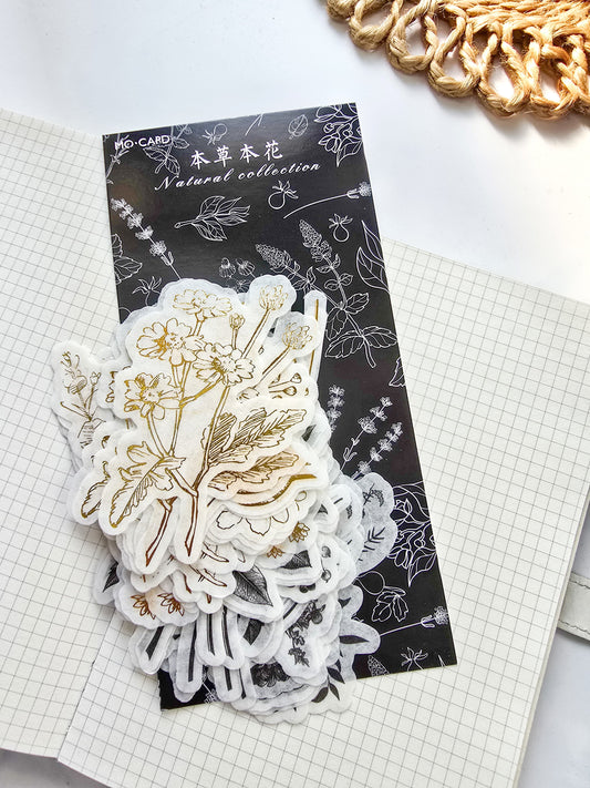 MMK06B047 NATURAL Black & Gold COLLECTION DECO STICKER 60 PC