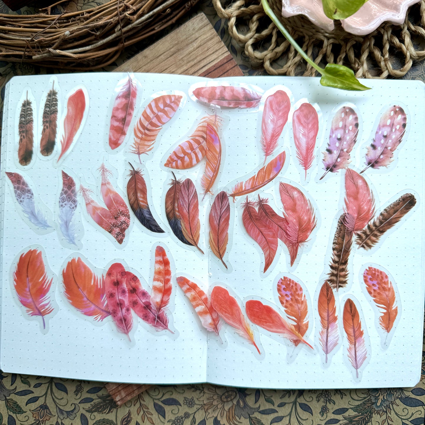 Tz2208bbt -c Transparent Pet sticker Feather collection | 40 pc
