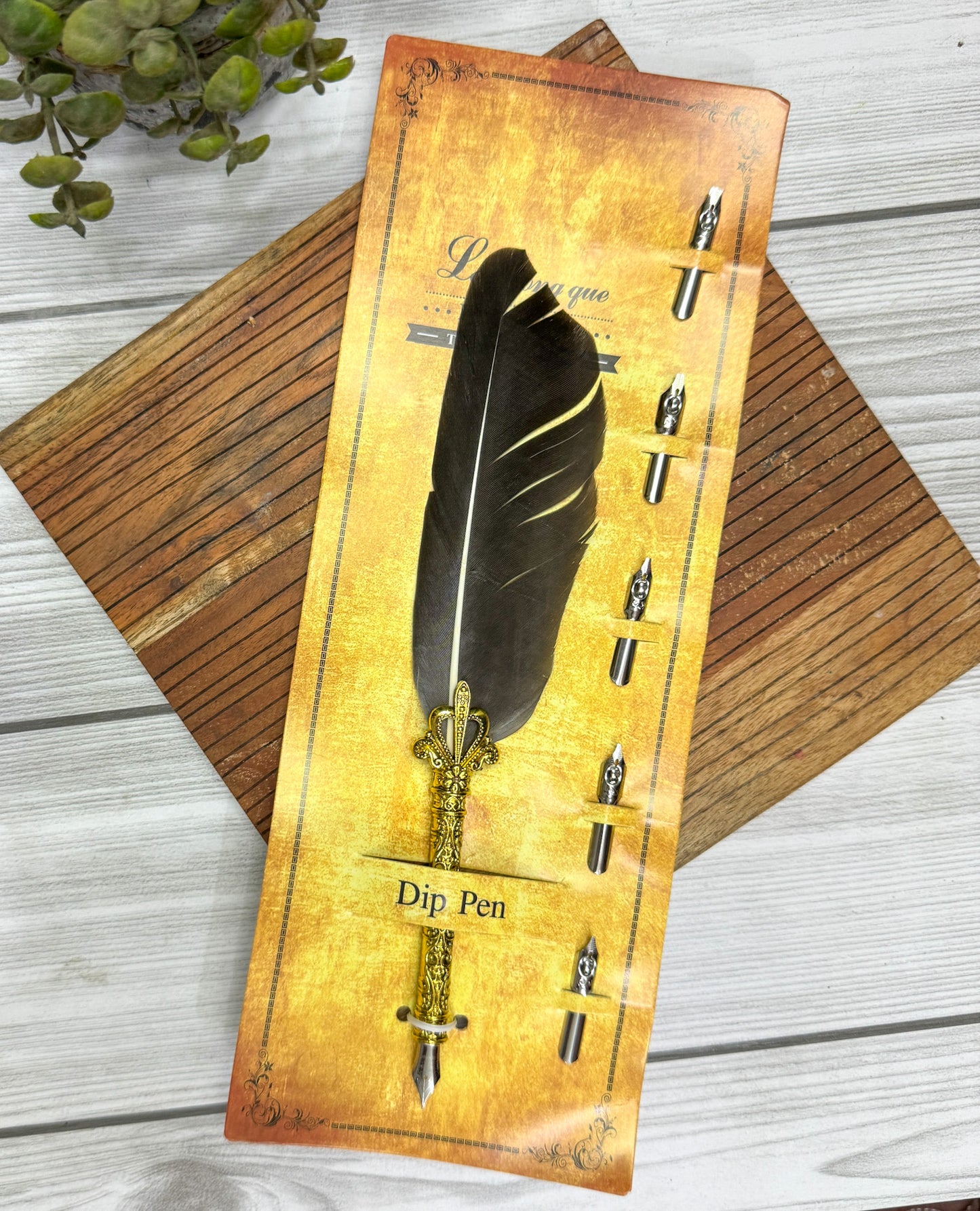 MG-265D-5 | Natural Feather Calligraphy Pen Set with 5 different Calligraphy Nibs | Golden