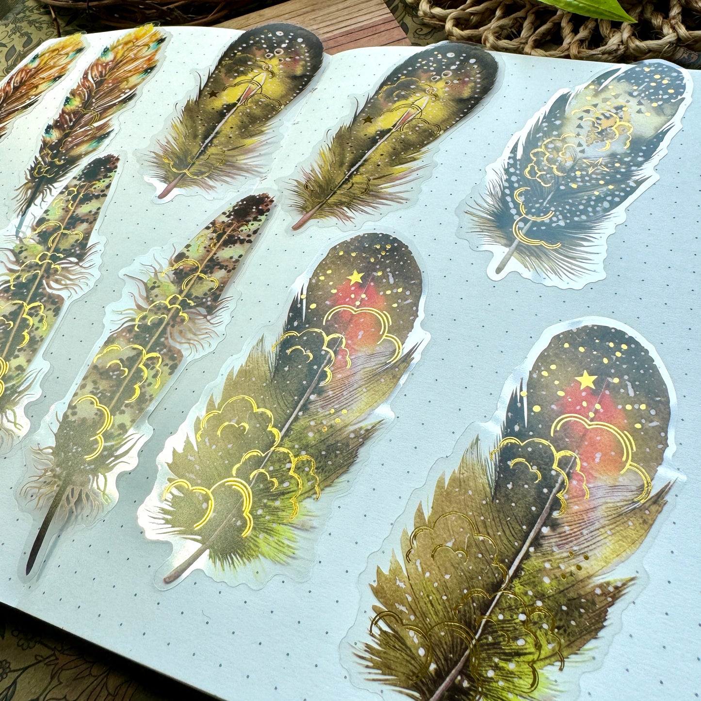 Tz2207zzr -c Transparent Pet sticker foil Feather collection Big | 10 pc