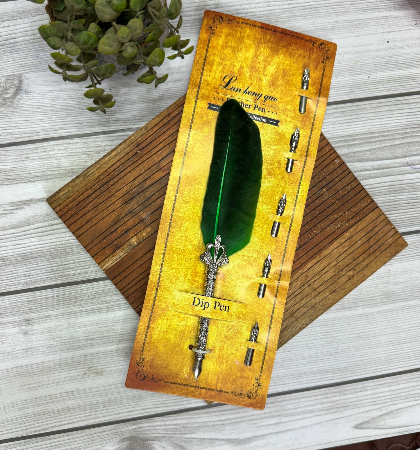 MG-265C-3 | Green Feather Calligraphy Pen Set with 5 different Calligraphy Nibs | Silver