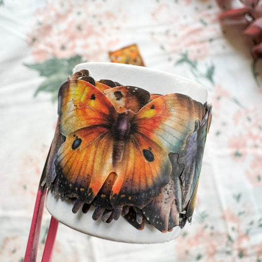 Szhd002 Butterfly Deco Stickers 50Pc