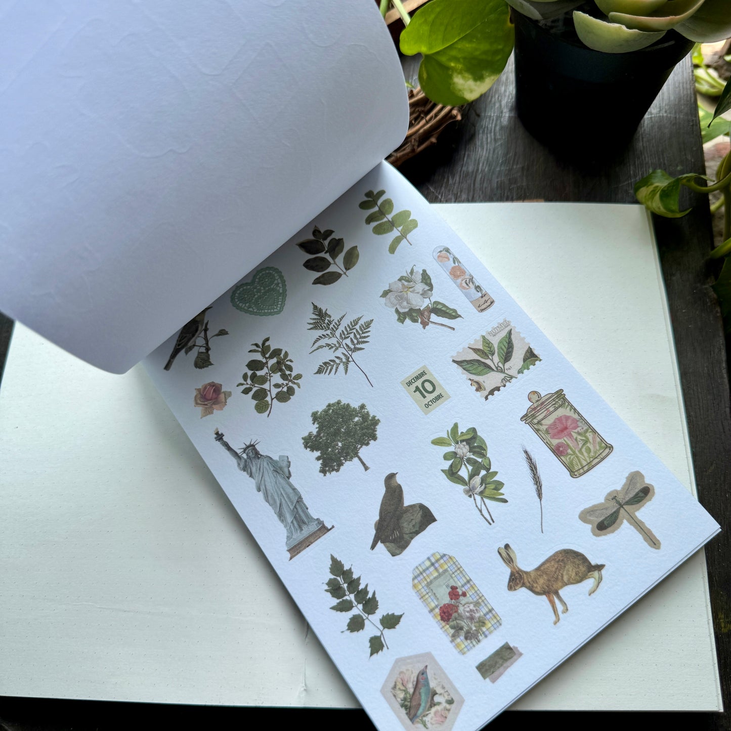Scbk39825 Paper Cutout & Sticker Book 40Pc