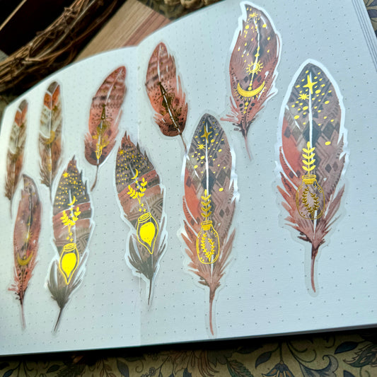 Tz2207zzr -e Transparent Pet sticker foil Feather collection Big | 10 pc