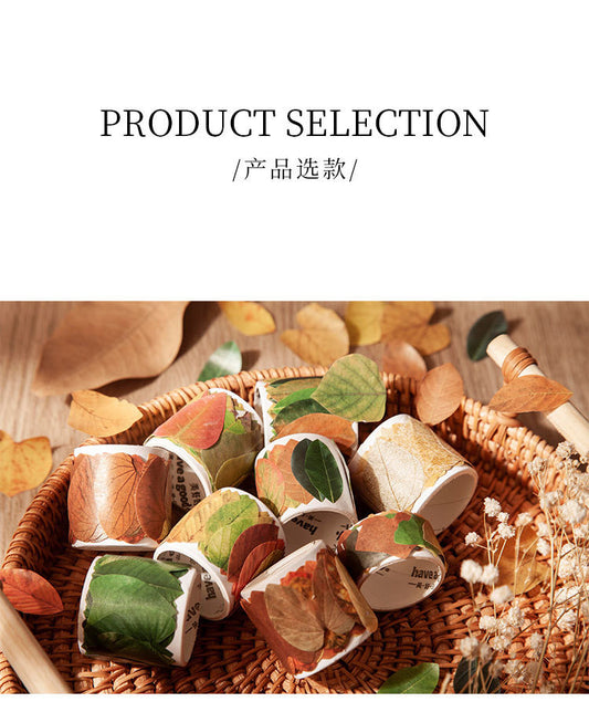 Lfhy005 Leaf Paper roll Sticker | 38*38mm
