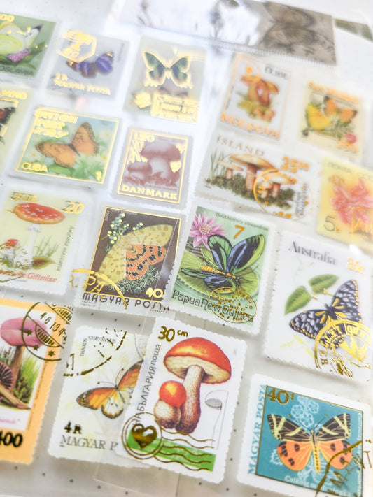 Jsnh401|G-9| Dream Butterfly Stamp Sticker Pet Sticker | Set of 2 90*35mm