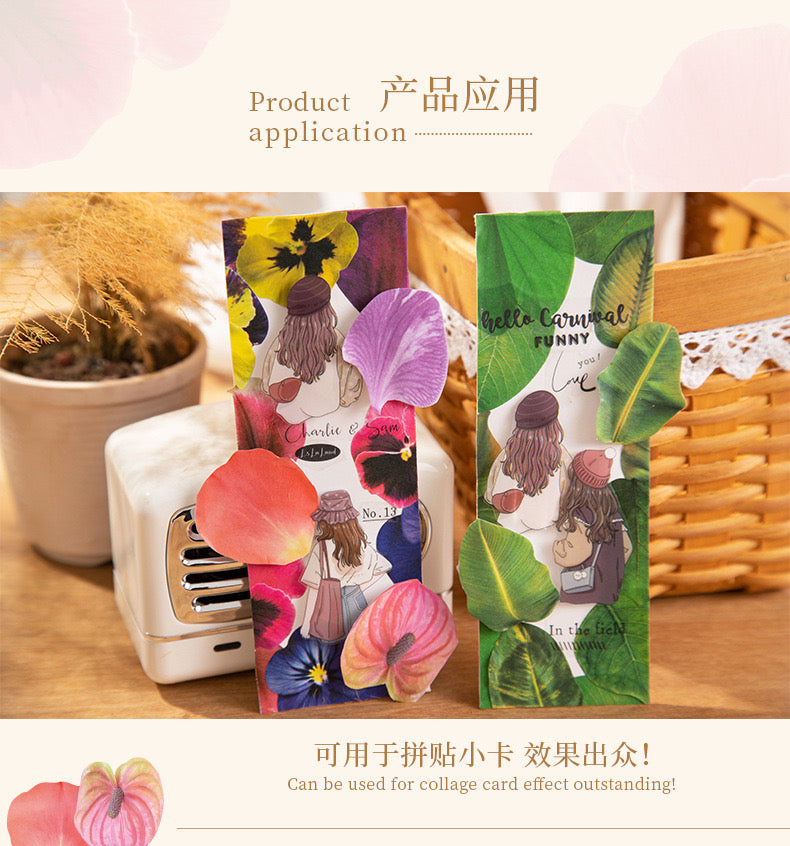 Lfhy004 Leaf Paper roll Sticker | 38*38mm