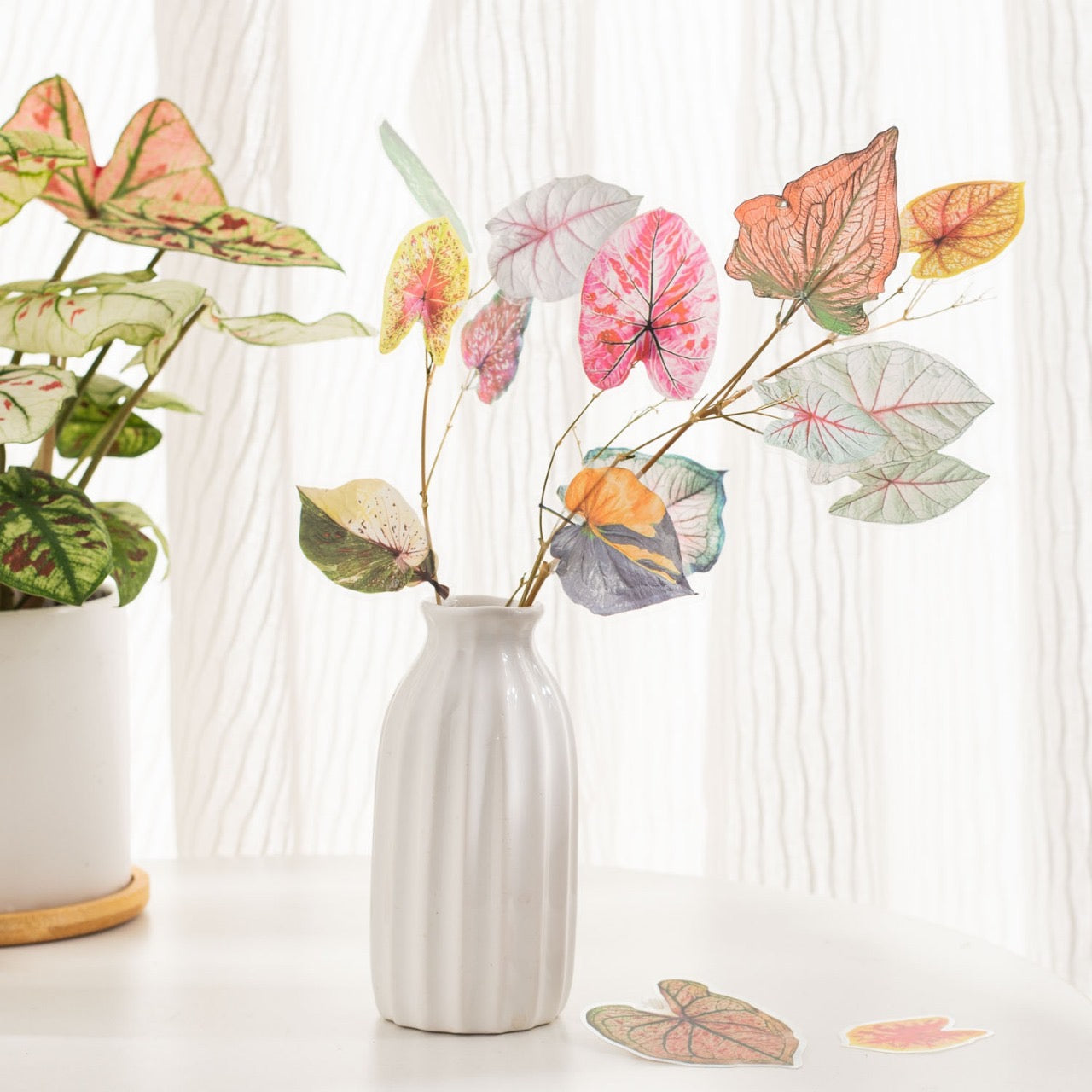 Cyyj003 PET Sticker | Caladium Bicolor | 30 pcs