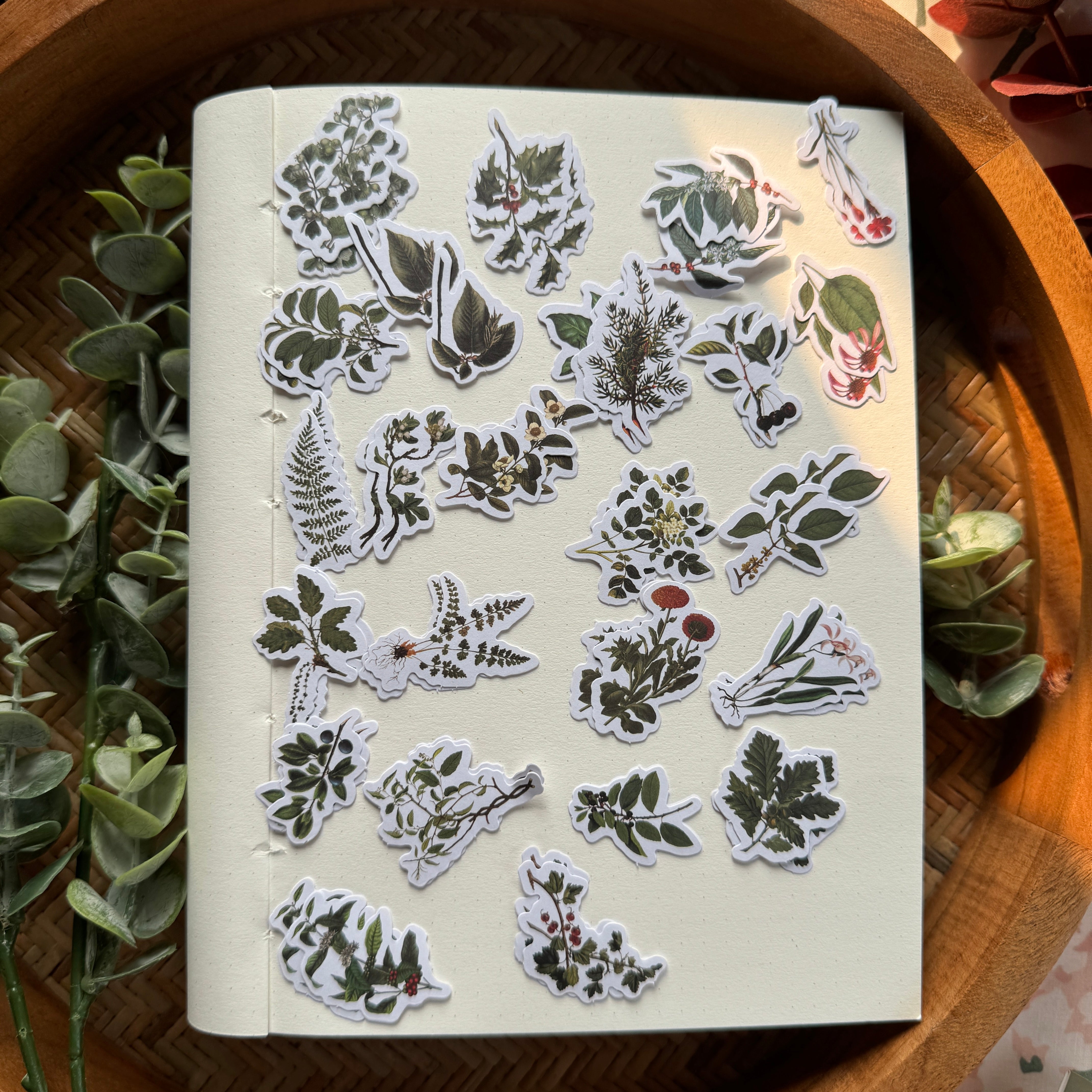 TZ2306CCK -d Diy Journal Sticker 50Pcs – Adriti's Home
