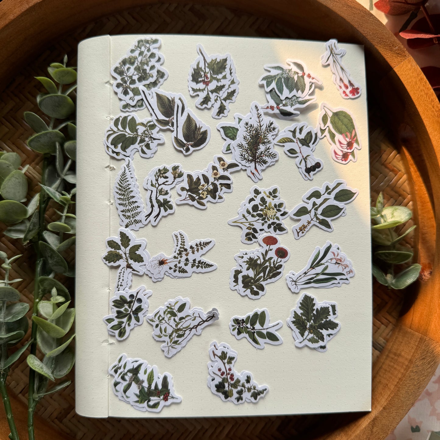TZ2306CCK -d Diy Journal Sticker 50Pcs