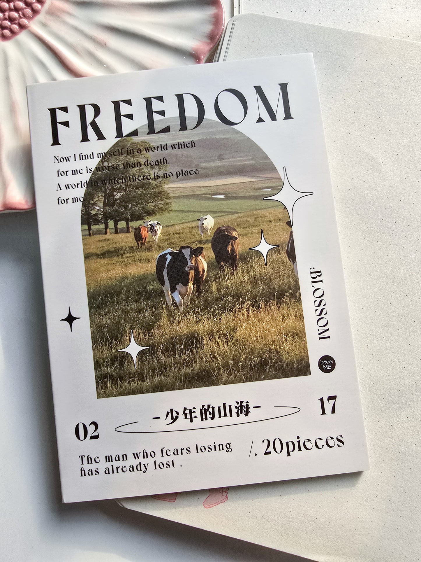 BJB-6431 Lifestyle Sticker| Daily Sticker Book| FREEDOM| Transparent Pet Sticker 20 Pcs