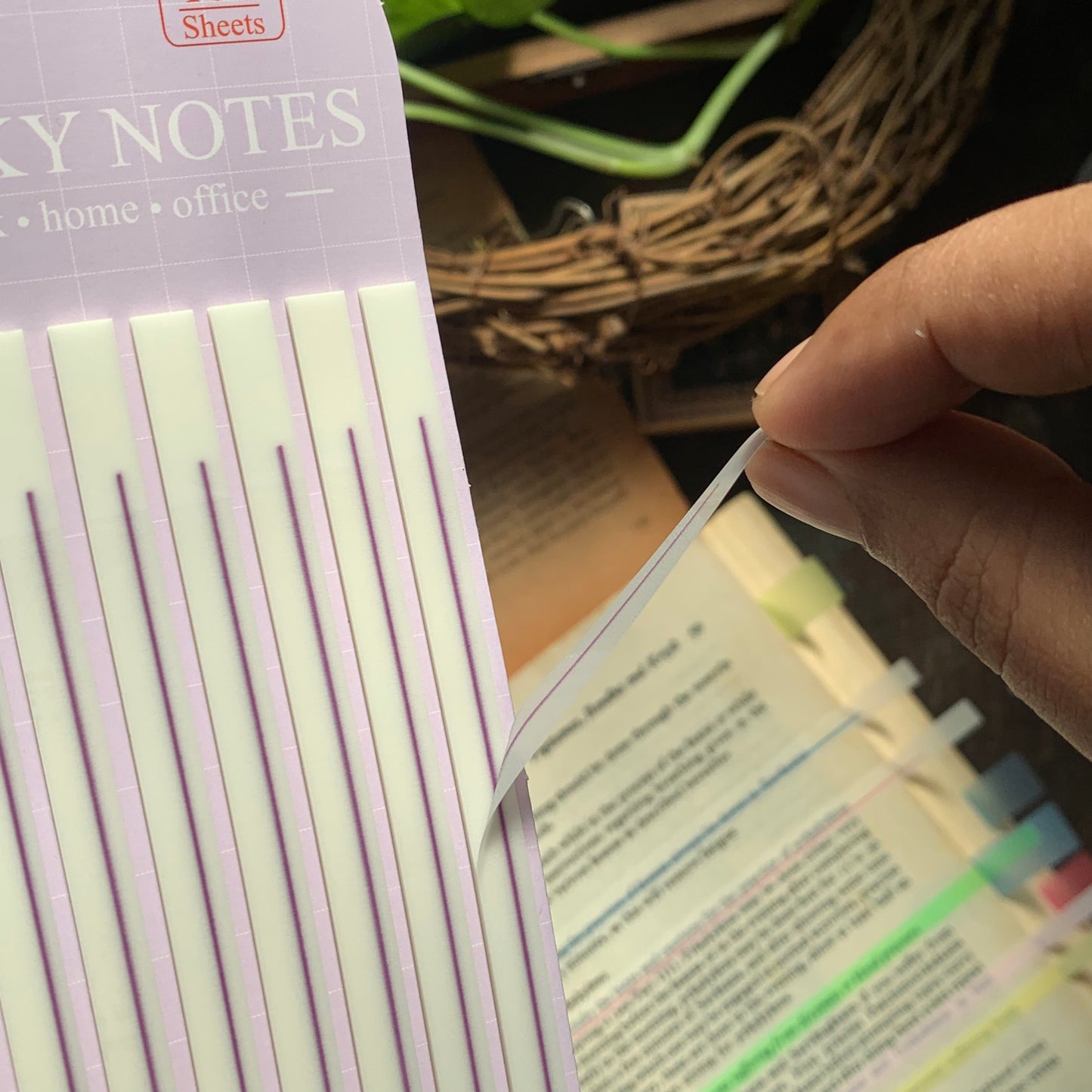 88204 - STICKY NOTES Purple 8 STRIPE 160 tabs | 14X5MM | Sticky Tab