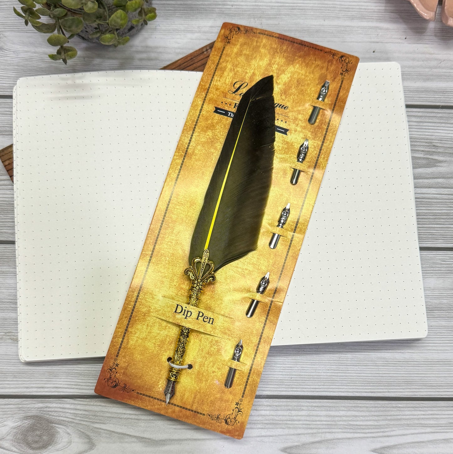 MG-265D-1 | Light green yellow Feather Calligraphy Pen Set with 5 different Calligraphy Nibs | Golden