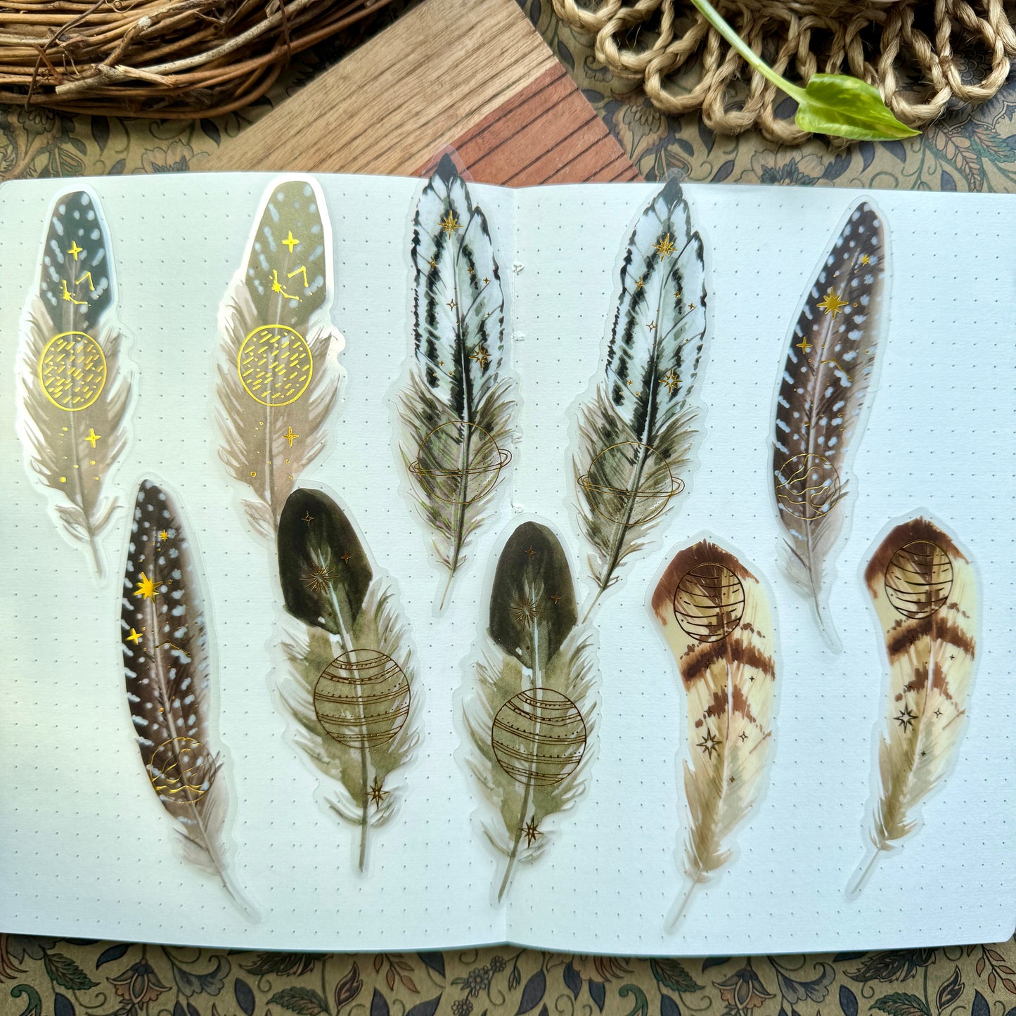 Tz2207zzr -g Transparent Pet sticker foil Feather collection Big | 10 pc