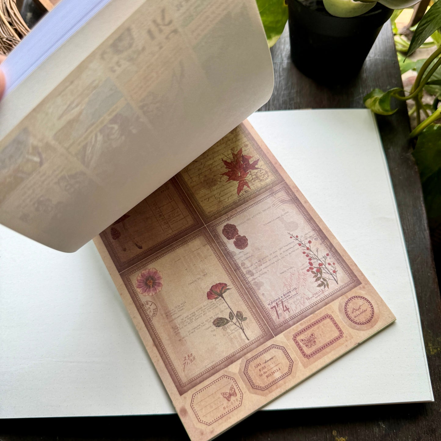 Scbk39825 Paper Cutout & Sticker Book 40Pc