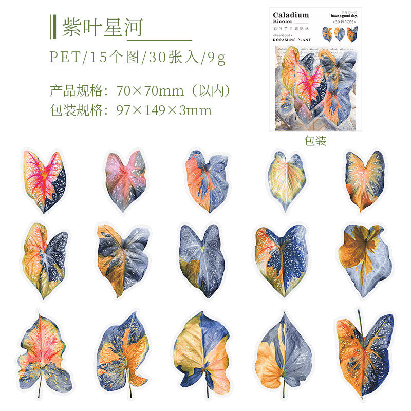 Cyyj004 PET Sticker | Caladium Bicolor | 30 pcs