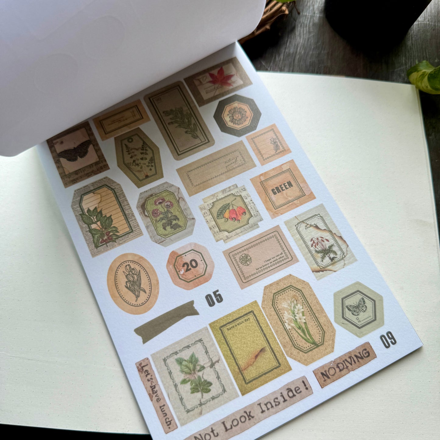 Scbk39825 Paper Cutout & Sticker Book 40Pc