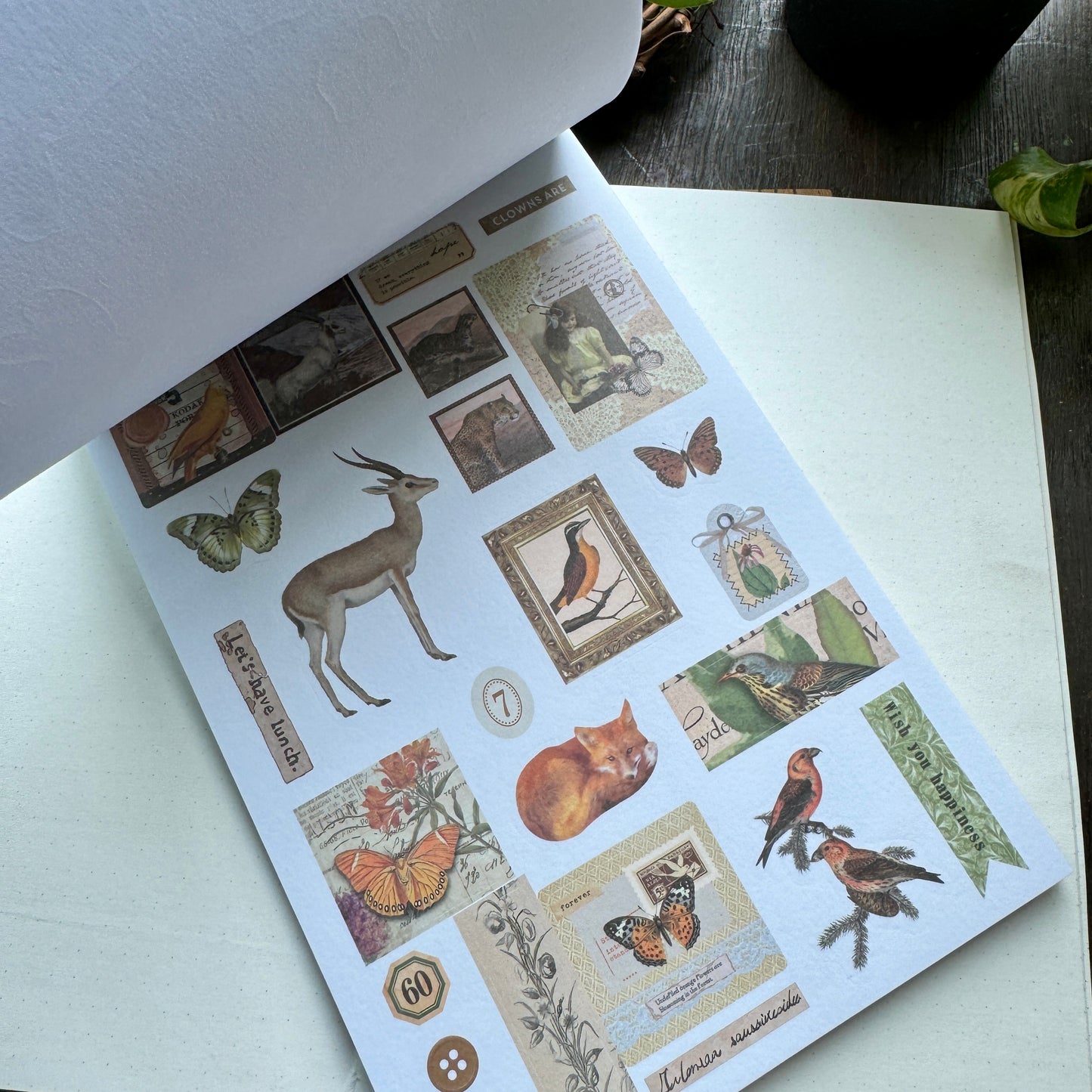 Scbk39825 Paper Cutout & Sticker Book 40Pc