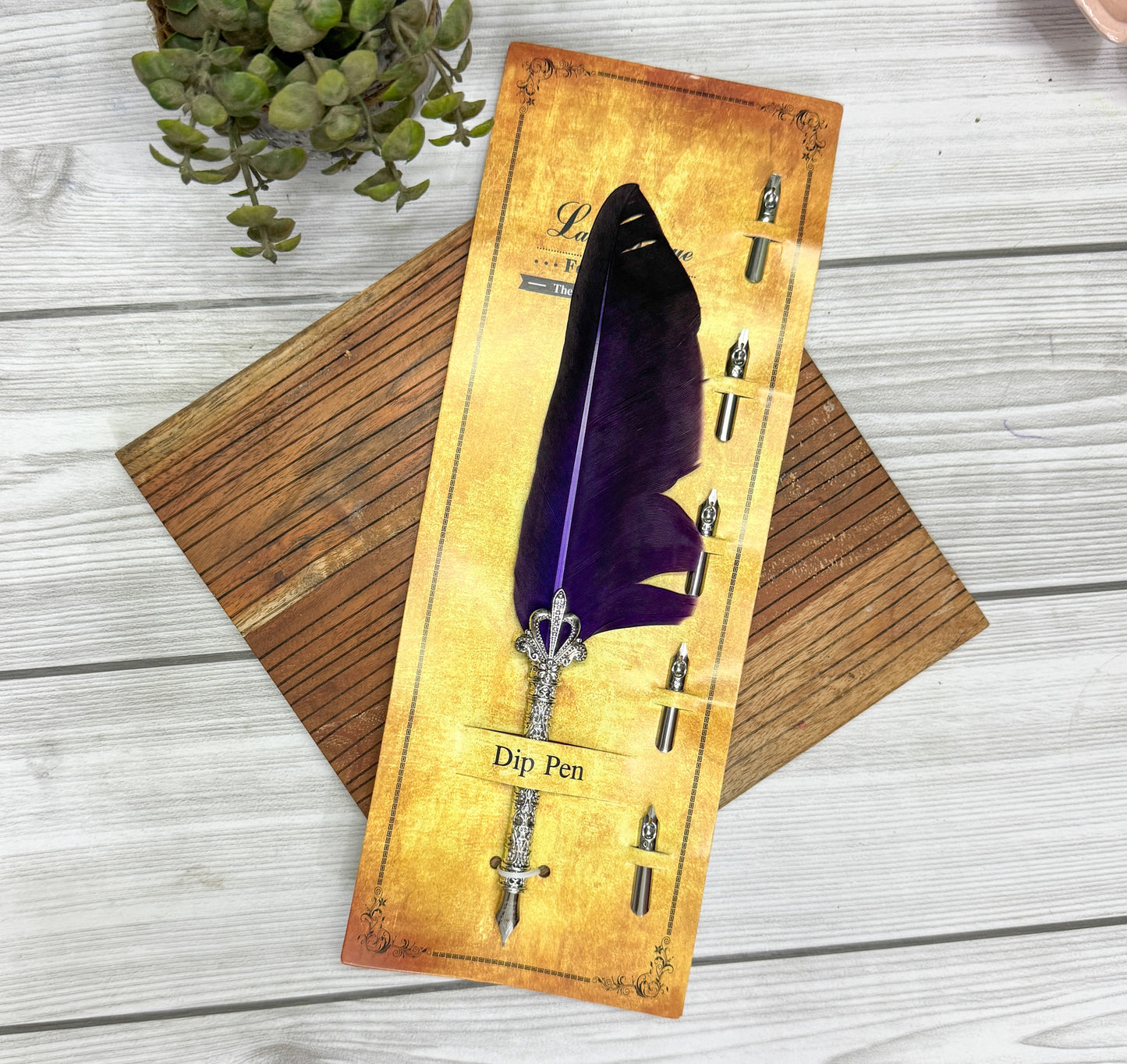 MG-265C-2 | Purple Feather Calligraphy Pen Set with 5 different Calligraphy Nibs | Silver