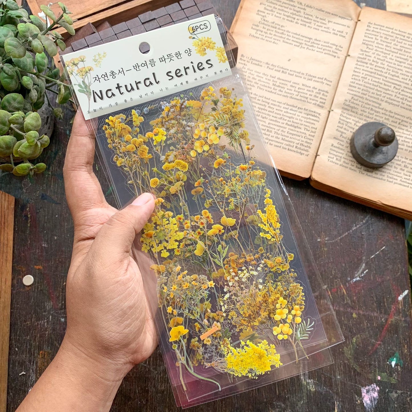 Zrcs 806 - PET Journal Sticker | Transparent Sticker - 6 sheet
