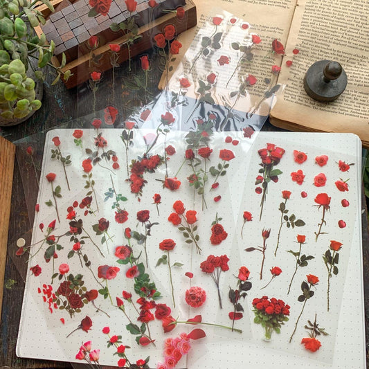 Zrcs 805 PET Journal Sticker | Transparent Sticker - 6 sheet