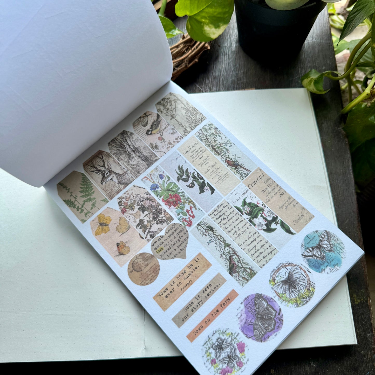 Scbk39825 Paper Cutout & Sticker Book 40Pc