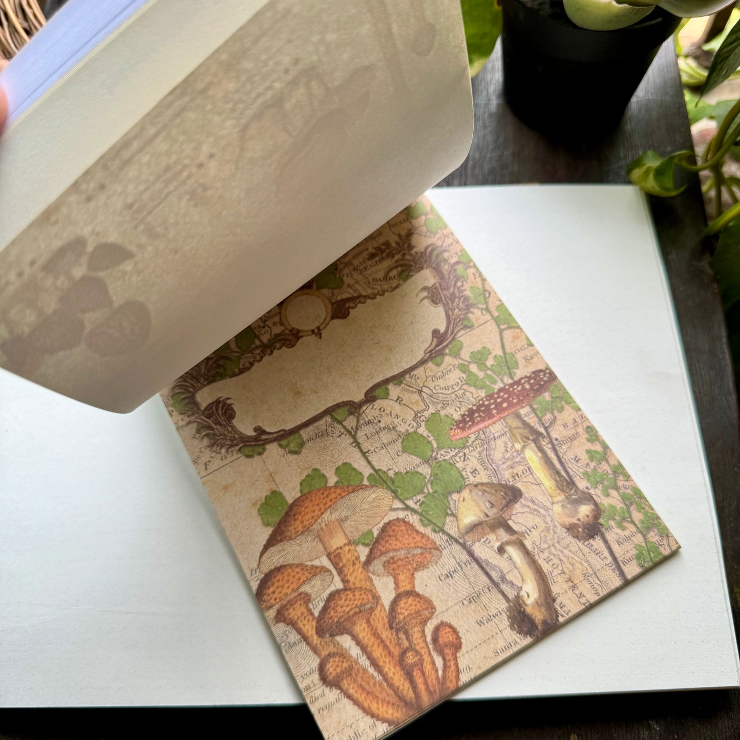 Scbk39825 Paper Cutout & Sticker Book 40Pc