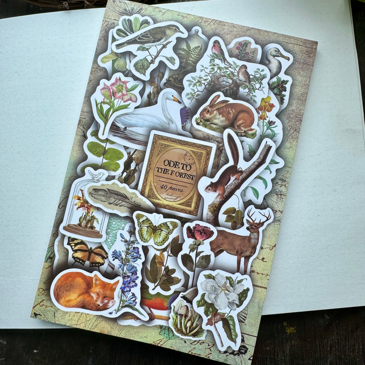 Scbk39825 Paper Cutout & Sticker Book 40Pc
