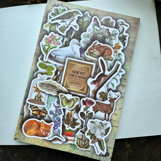 Scbk39825 Paper Cutout & Sticker Book 40Pc