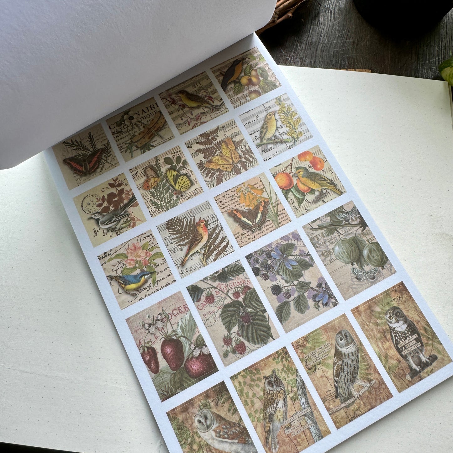Scbk39825 Paper Cutout & Sticker Book 40Pc