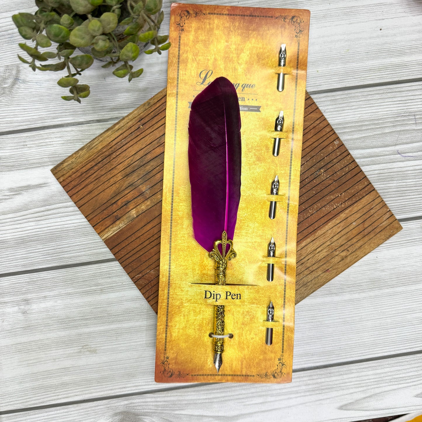 MG-265D-3 | Royal pink Feather Calligraphy Pen Set with 5 different Calligraphy Nibs | Golden