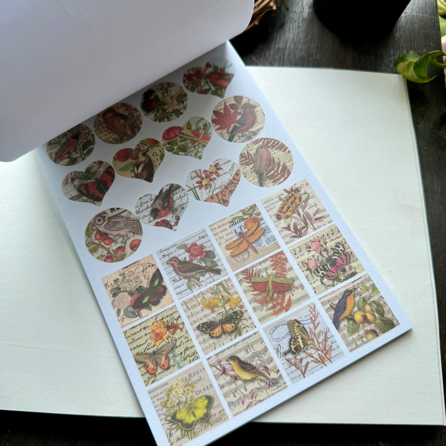 Scbk39825 Paper Cutout & Sticker Book 40Pc
