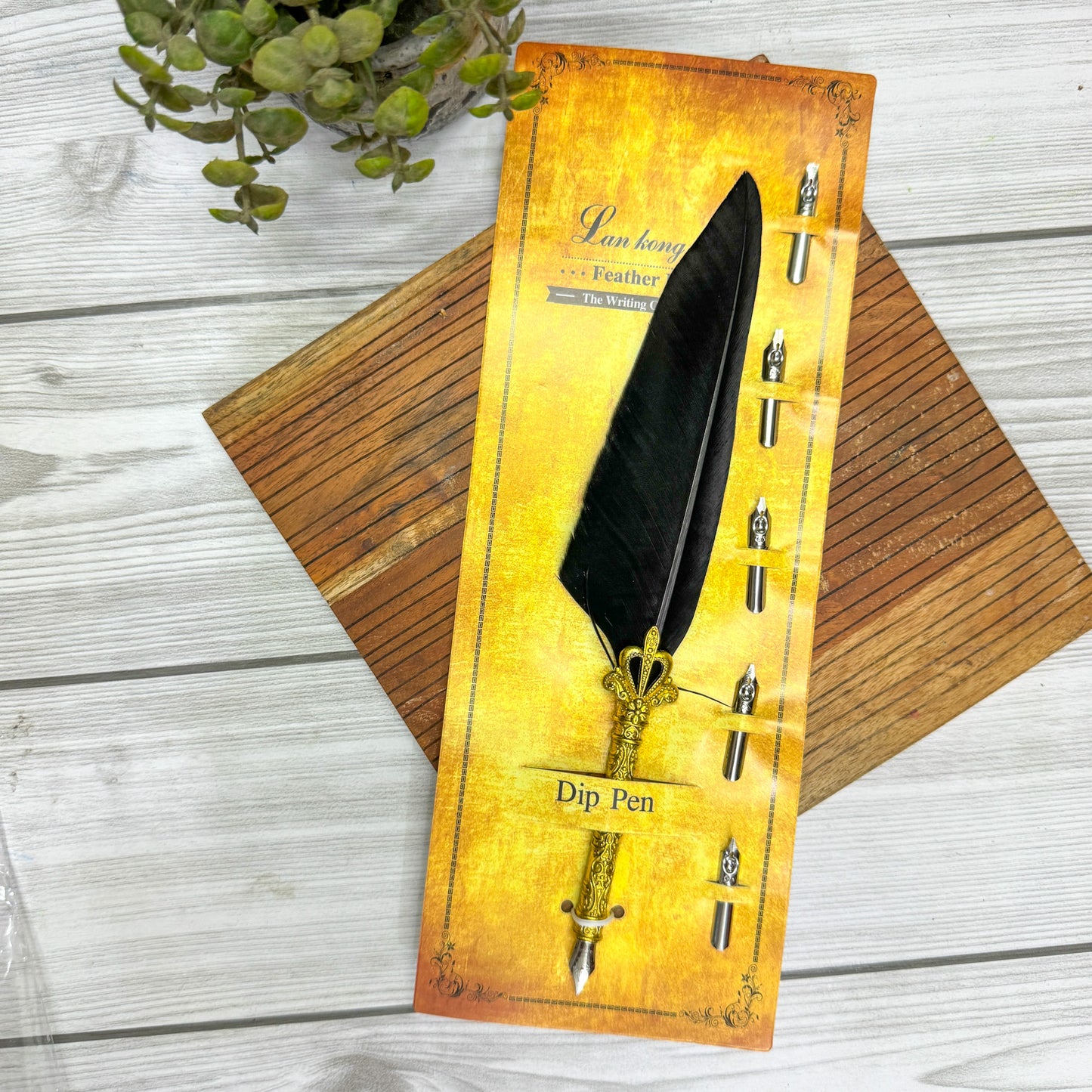 MG-265D-2 | black Feather Calligraphy Pen Set with 5 different Calligraphy Nibs | Golden