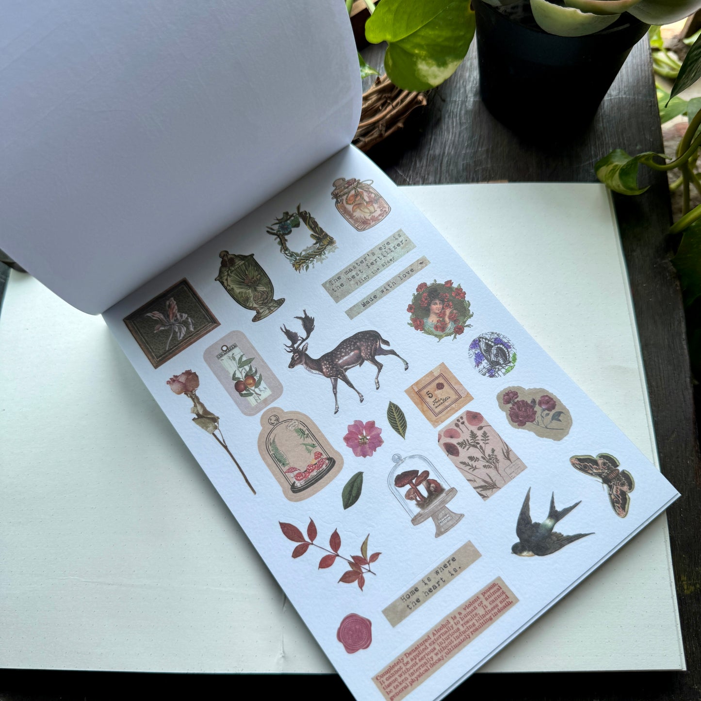 Scbk39825 Paper Cutout & Sticker Book 40Pc