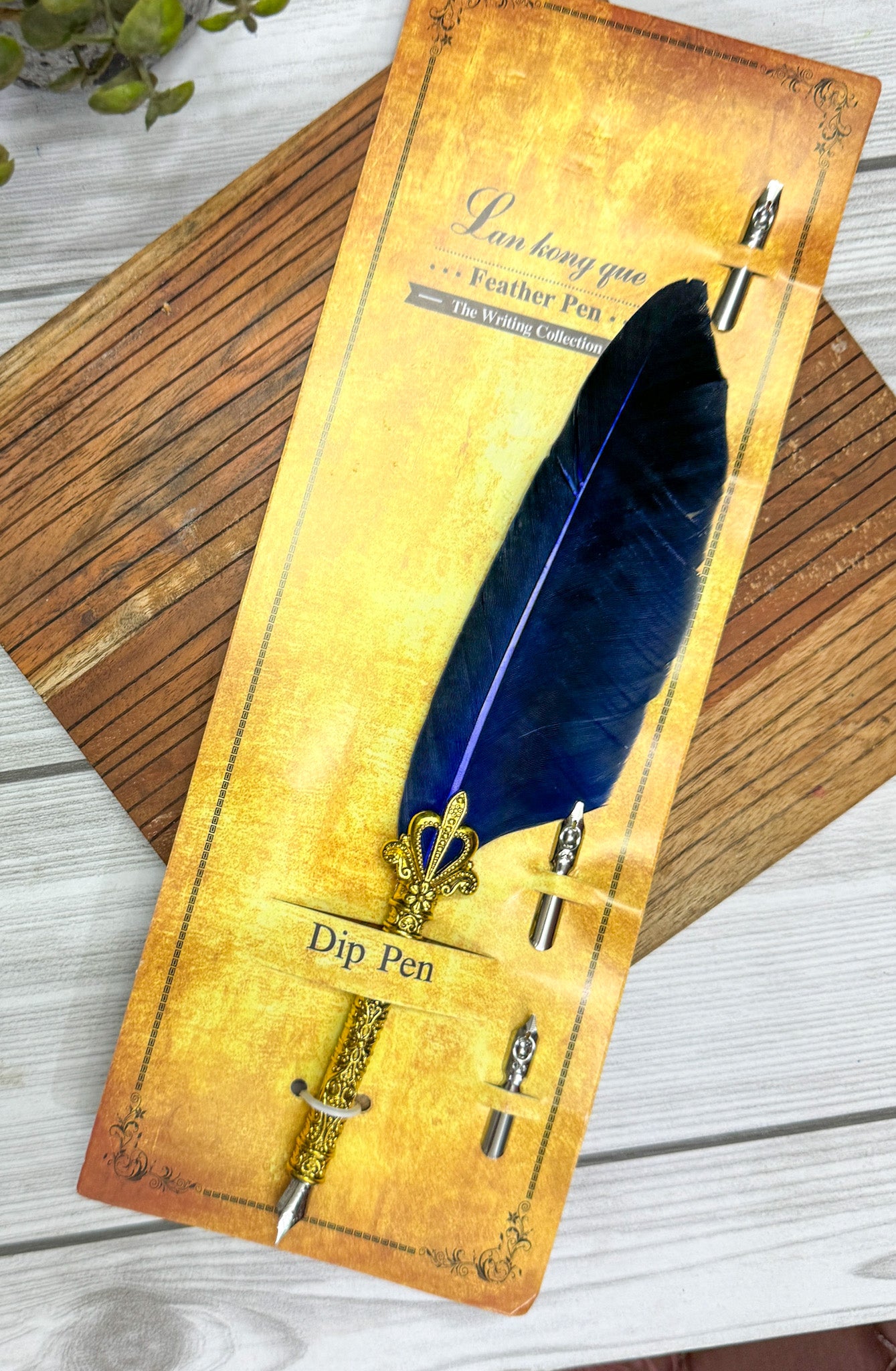 MG-265D-6| Blue Feather Calligraphy Pen Set with 5 different Calligraphy Nibs | Golden